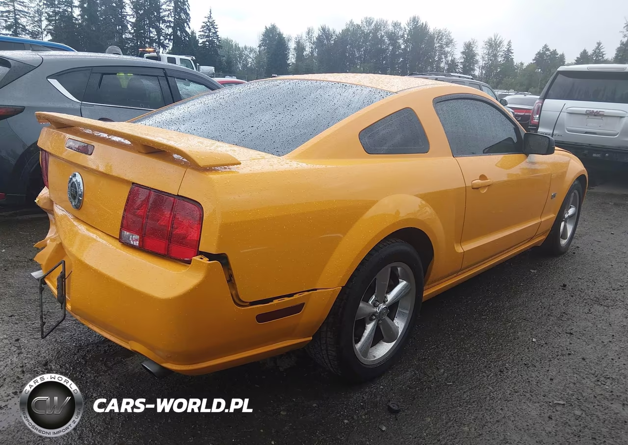 2008 Ford Mustang Gt Deluxe-Gt Premium VIN:1ZVHT82H885204178 - 4