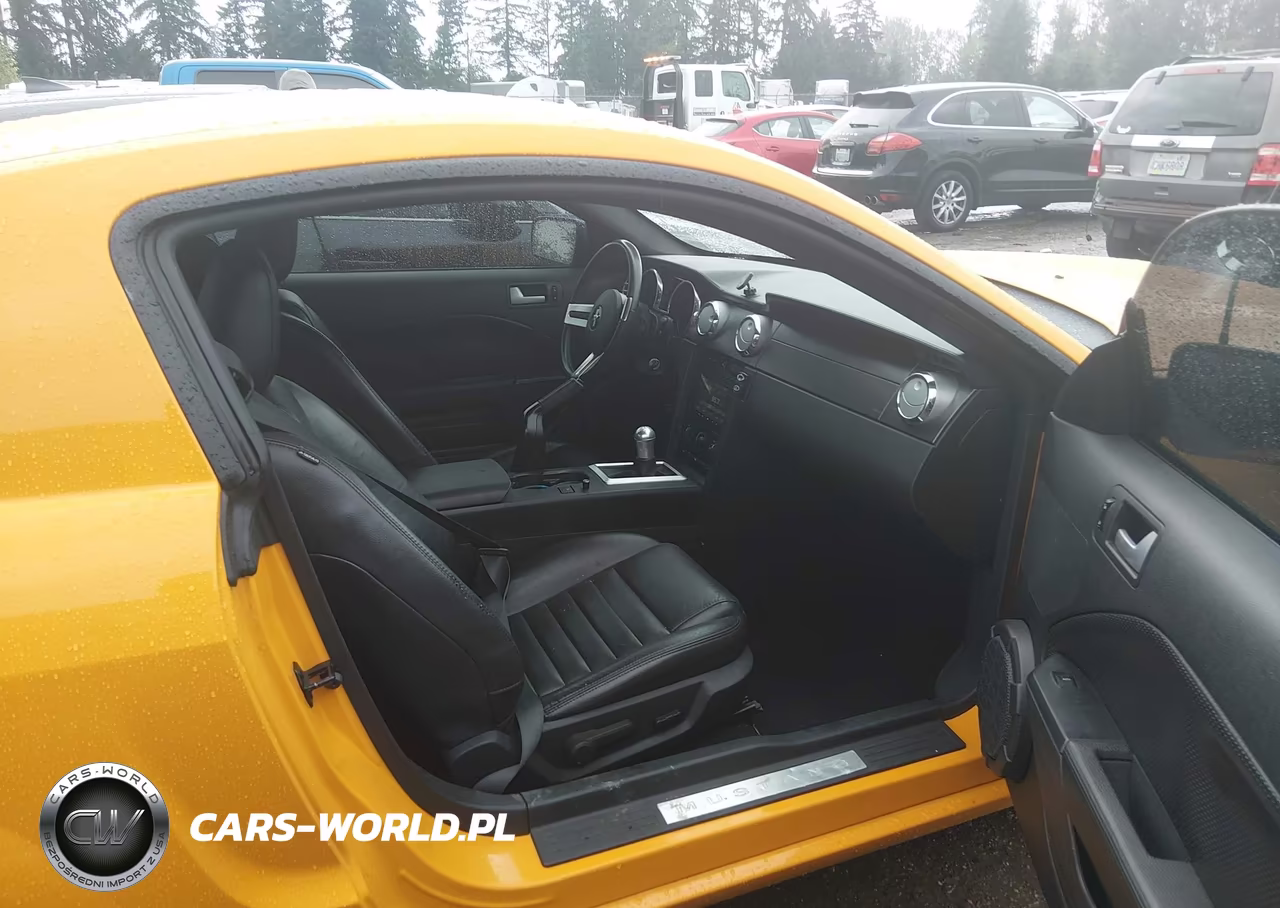 2008 Ford Mustang Gt Deluxe-Gt Premium VIN:1ZVHT82H885204178 - 5