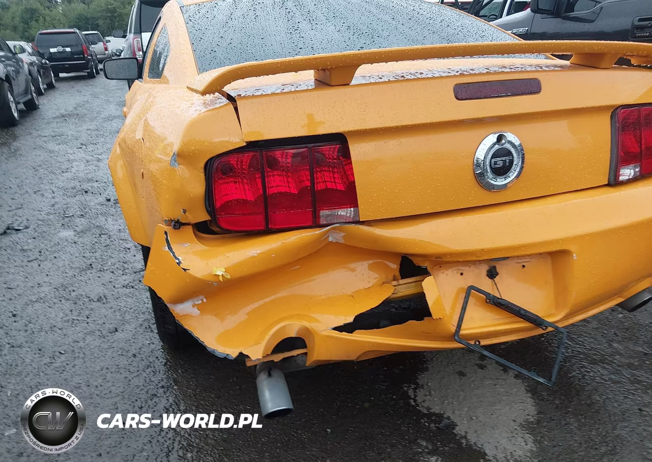2008 Ford Mustang Gt Deluxe-Gt Premium VIN:1ZVHT82H885204178 - 6