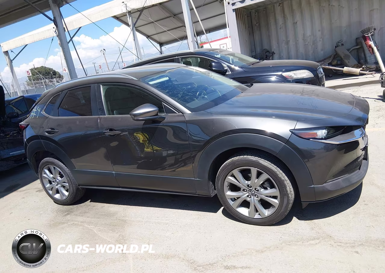 2023 Mazda Cx-30 2.5 S Select VIN:3MVDMBBM4PM503148 - 13