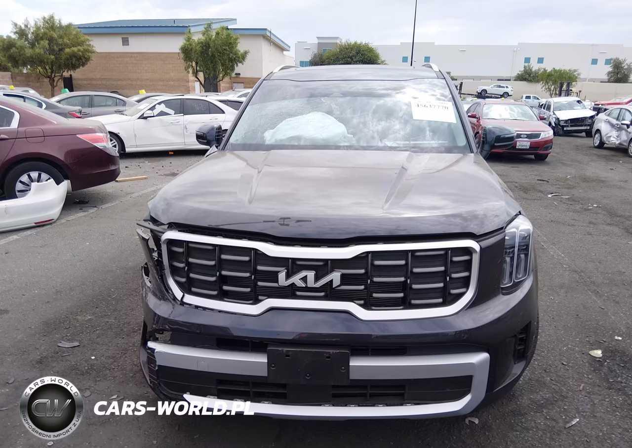 2025 Kia Telluride S VIN:5XYP64GC1SG701194 - 12