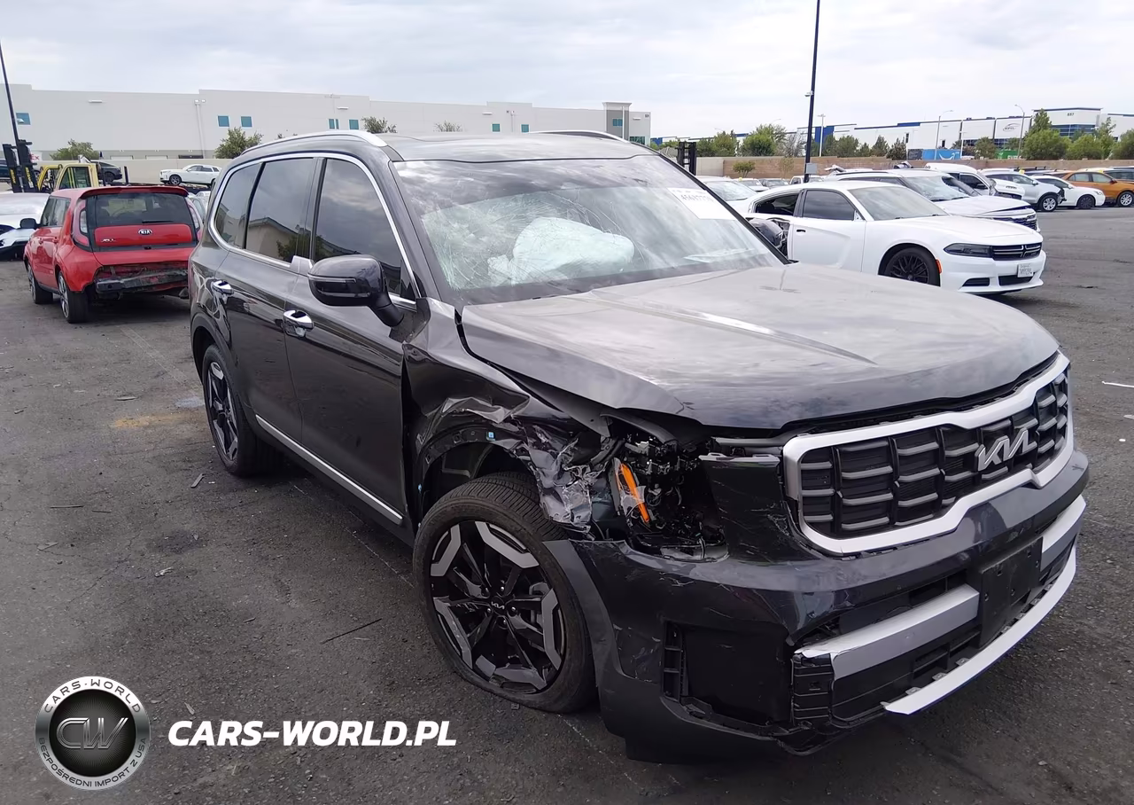 2025 Kia Telluride S VIN:5XYP64GC1SG701194 - 13