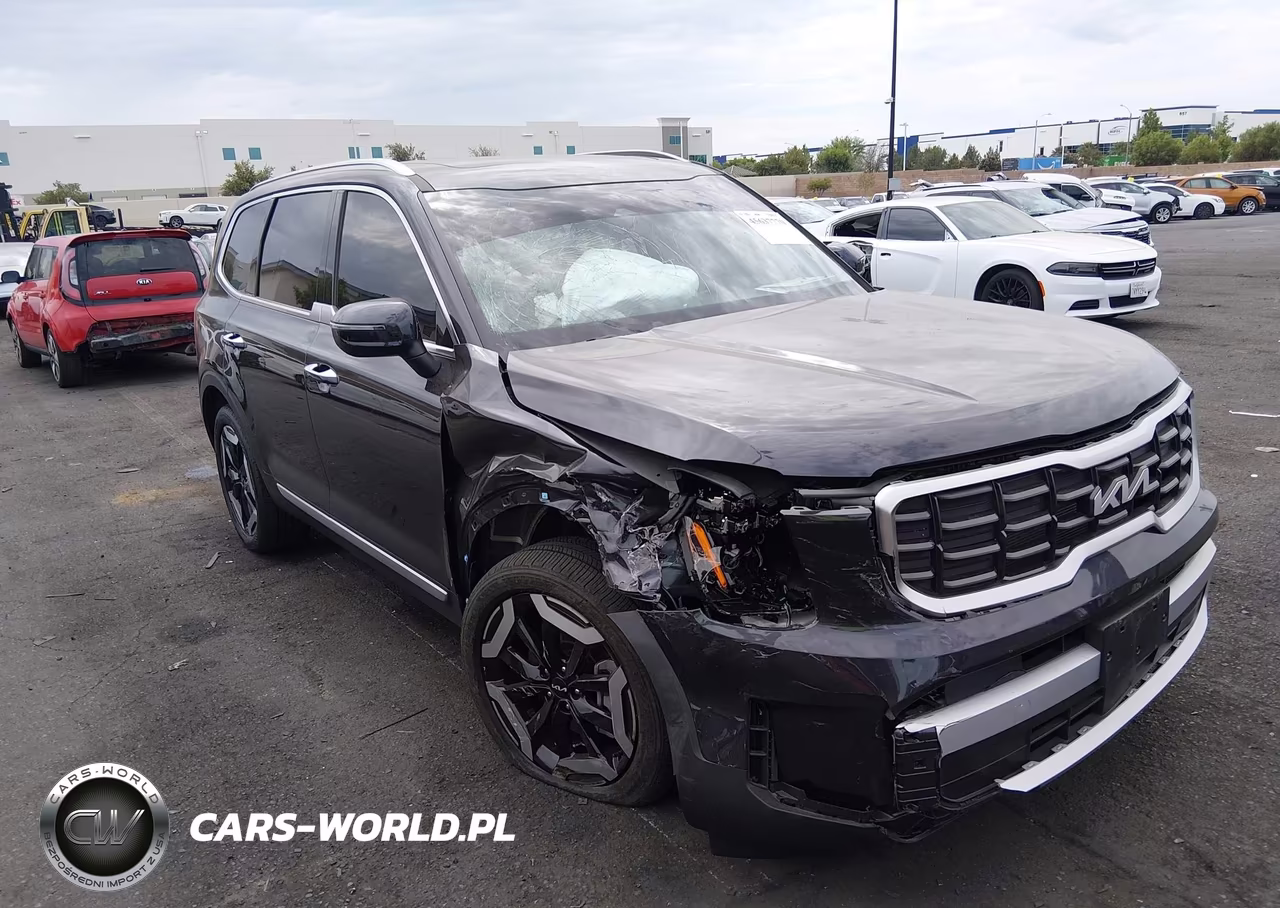 2025 Kia Telluride S VIN:5XYP64GC1SG701194 - 6