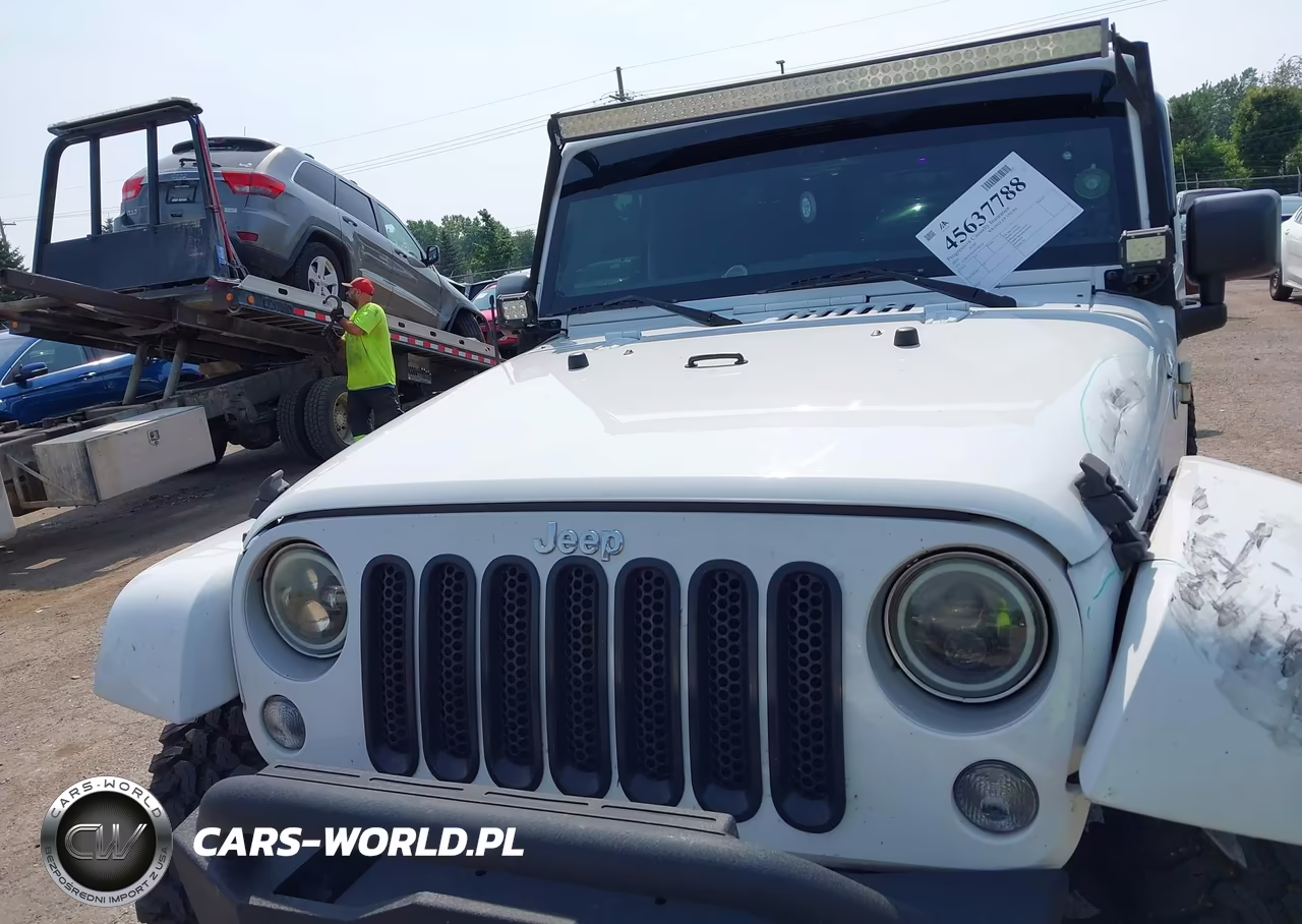 2016 Jeep Wrangler Unlimited Sahara VIN:1C4BJWEG3GL193624 - 12
