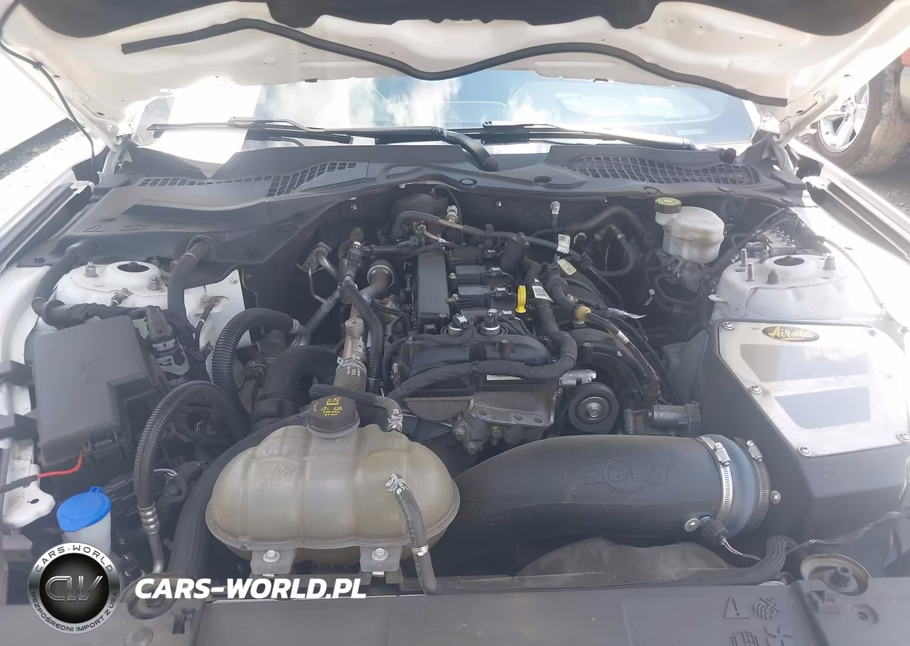 2023 Ford Mustang Ecoboost Premium Fastback VIN:1FA6P8THXP5107436 - 10