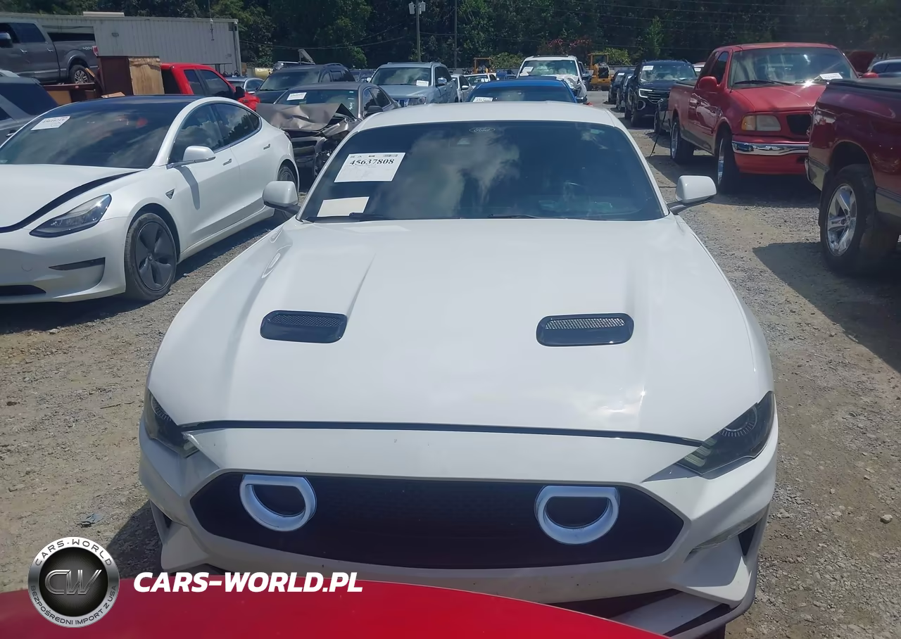 2023 Ford Mustang Ecoboost Premium Fastback VIN:1FA6P8THXP5107436 - 12