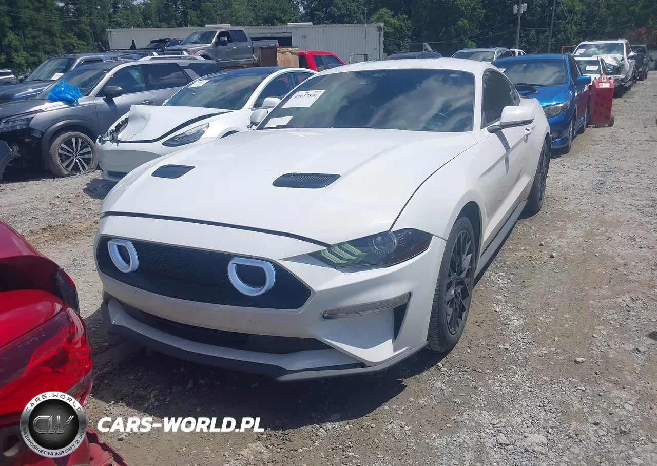 2023 Ford Mustang Ecoboost Premium Fastback VIN:1FA6P8THXP5107436 - 2