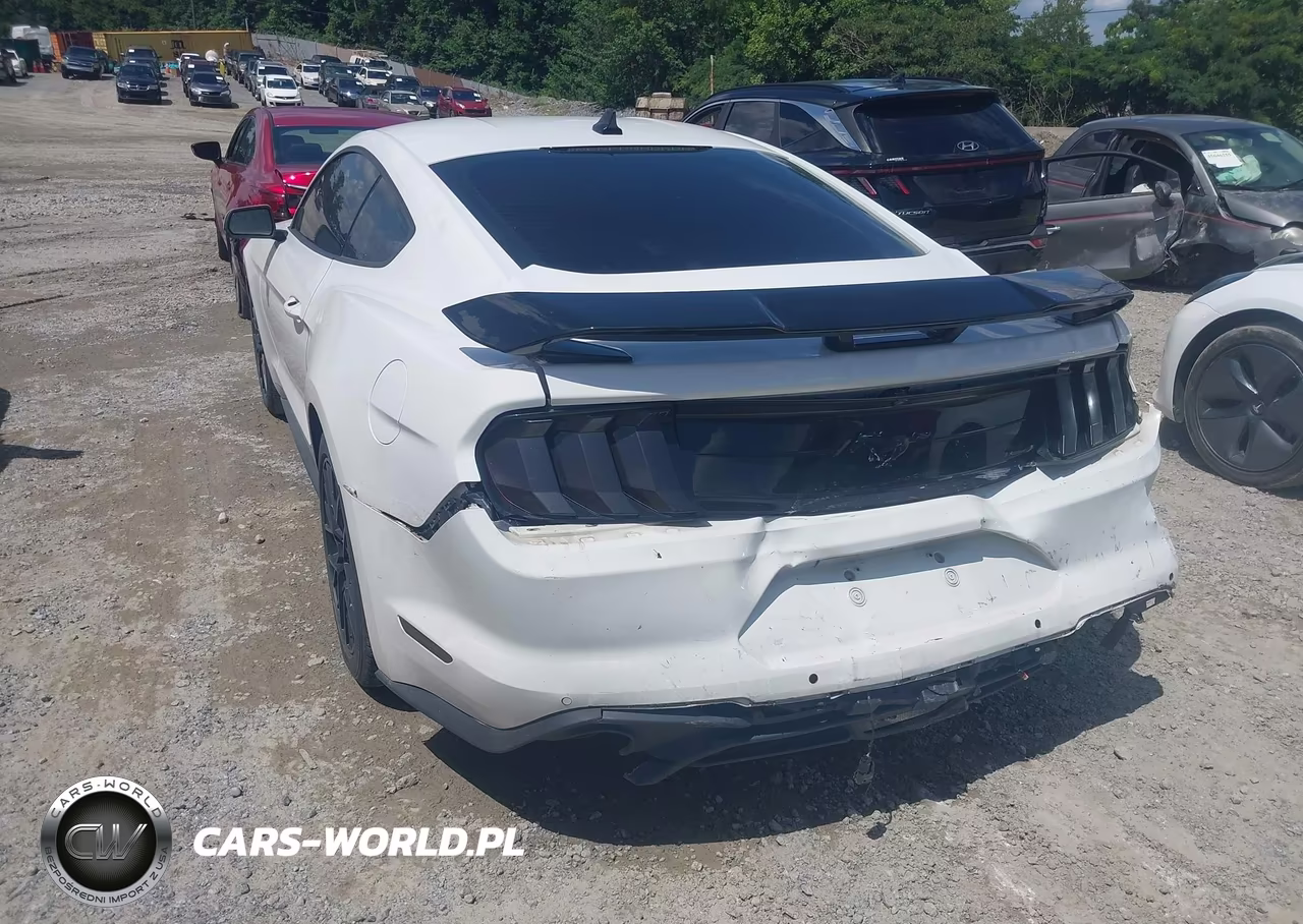 2023 Ford Mustang Ecoboost Premium Fastback VIN:1FA6P8THXP5107436 - 3