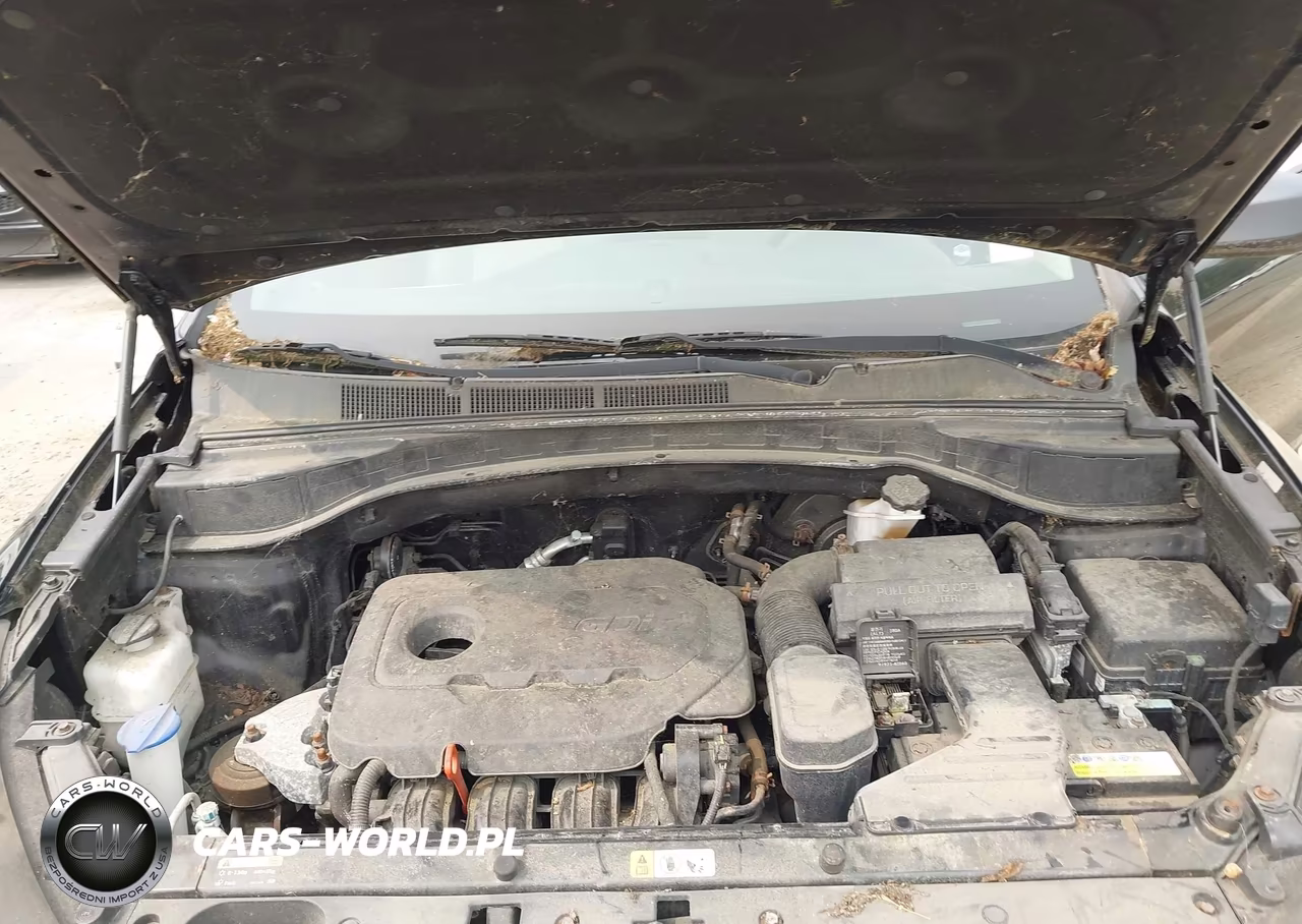 2017 Hyundai Santa Fe Sport 2.4L VIN:5XYZU3LB0HG399492 - 10