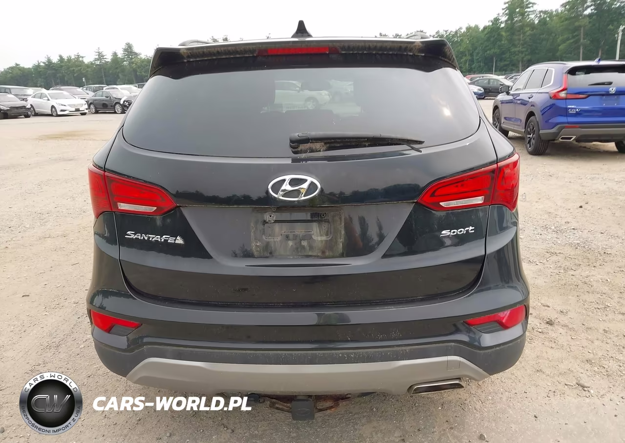 2017 Hyundai Santa Fe Sport 2.4L VIN:5XYZU3LB0HG399492 - 17