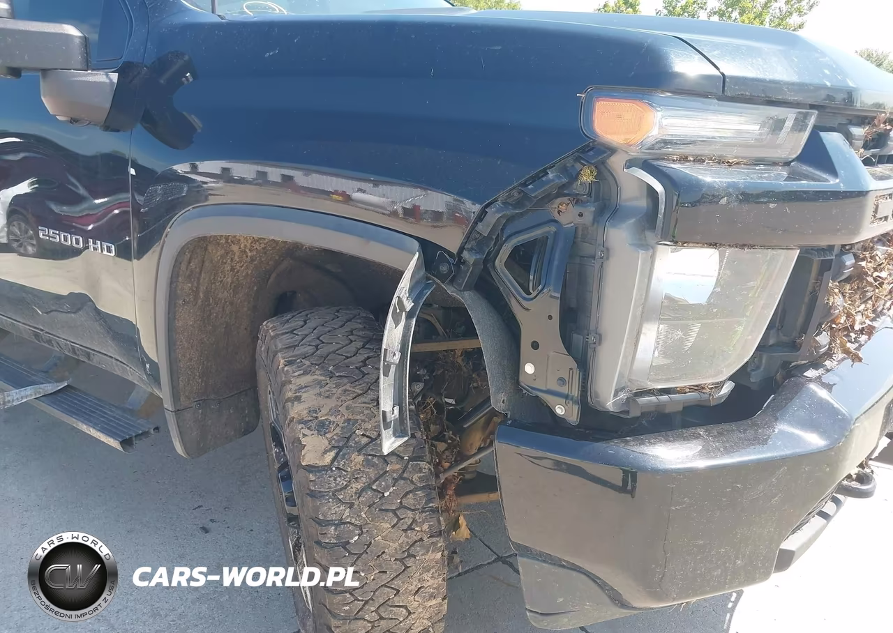 2020 Chevrolet Silverado 2500Hd 4Wd Standard Bed Custom VIN:1GC4YME73LF120450 - 6