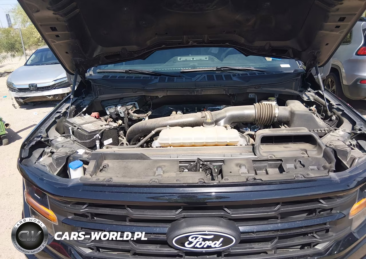 2024 Ford F-150 Xlt VIN:1FTFW3L84RKF37046 - 10