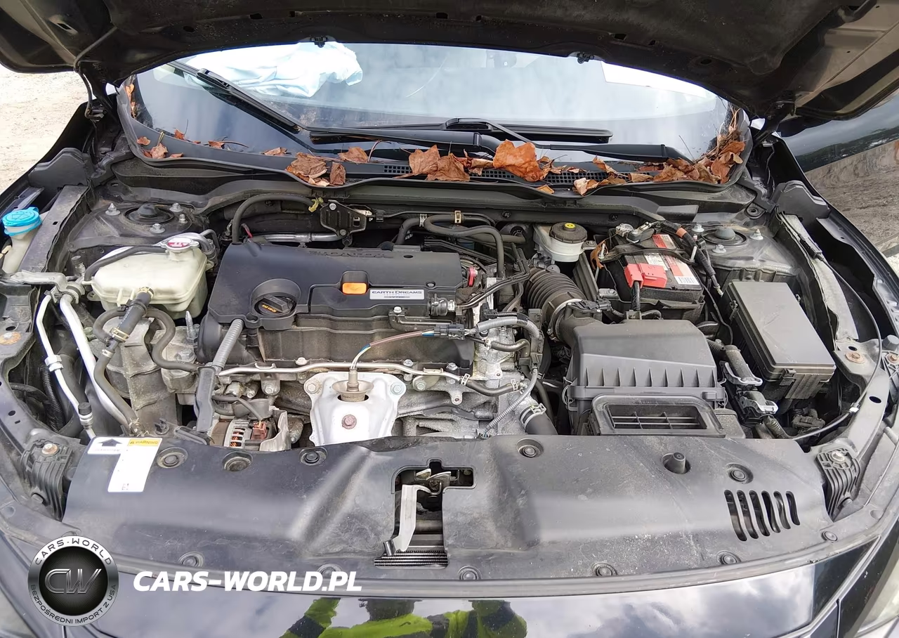 2019 Honda Civic Lx VIN:2HGFC2F64KH576134 - 10