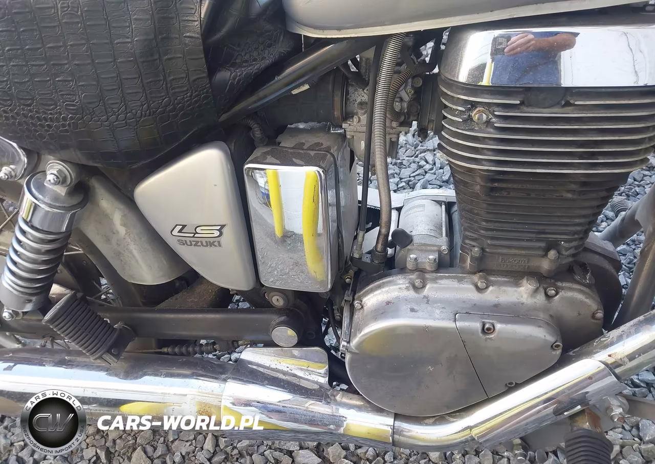 2004 Suzuki Ls650 P VIN:JS1NP41A442100817 - 8