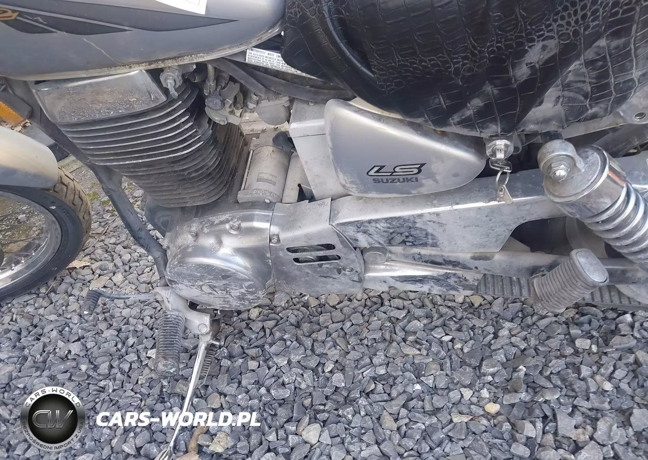 2004 Suzuki Ls650 P VIN:JS1NP41A442100817 - 9