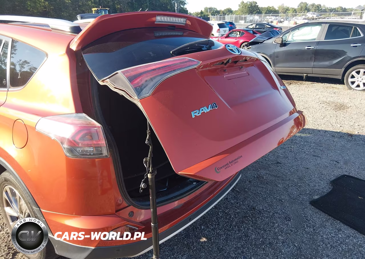 2016 Toyota Rav4 Limited VIN:JTMYFREV7GJ084901 - 6