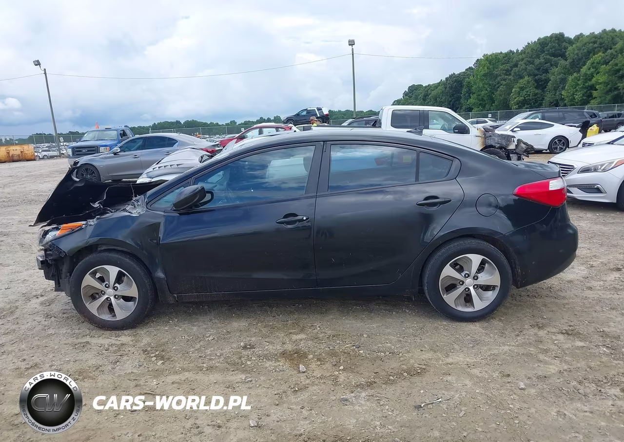2015 Kia Forte Lx VIN:KNAFK4A61F5366489 - 15