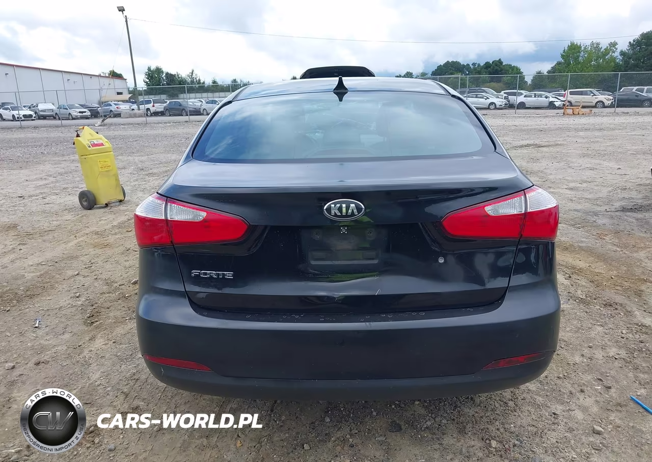 2015 Kia Forte Lx VIN:KNAFK4A61F5366489 - 17