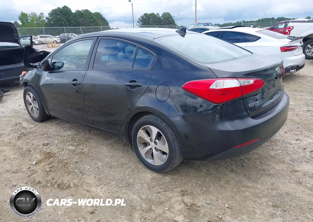 2015 Kia Forte Lx VIN:KNAFK4A61F5366489 - 3