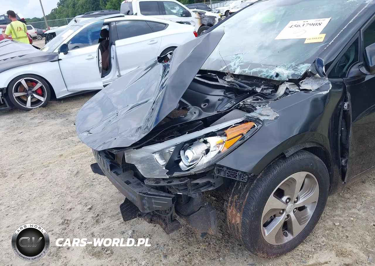 2015 Kia Forte Lx VIN:KNAFK4A61F5366489 - 6