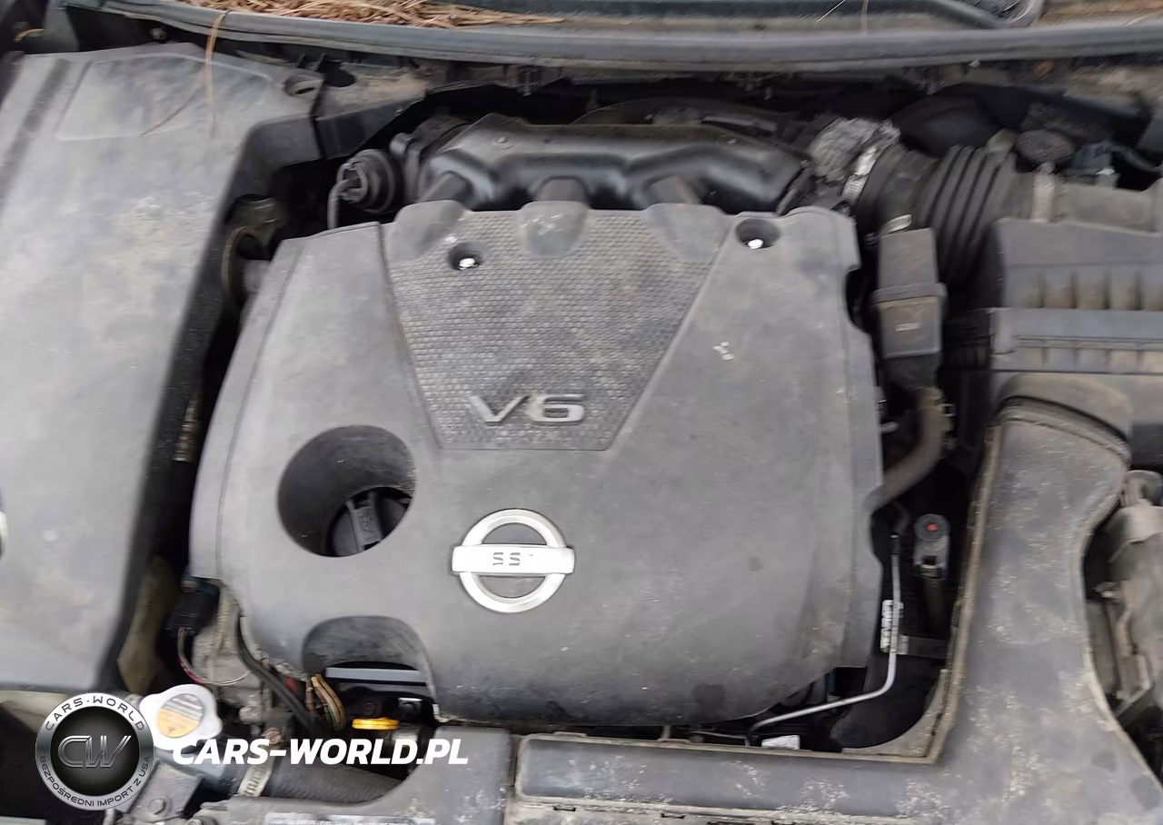 2009 Nissan Maxima 3.5 Sv VIN:1N4AA51E89C811541 - 10