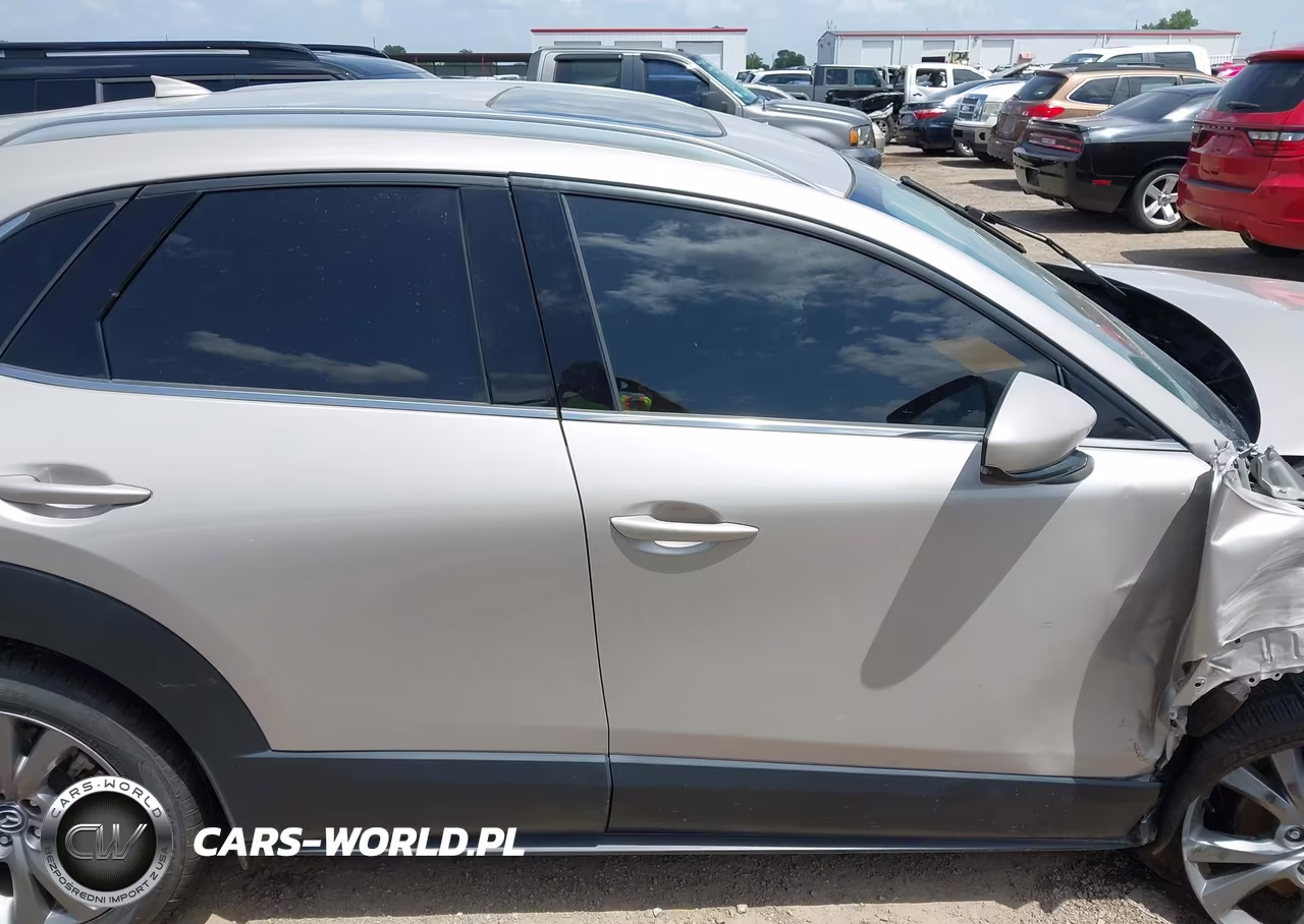 2024 Mazda Cx-30 2.5 S Premium Package VIN:3MVDMBDM3RM649556 - 13