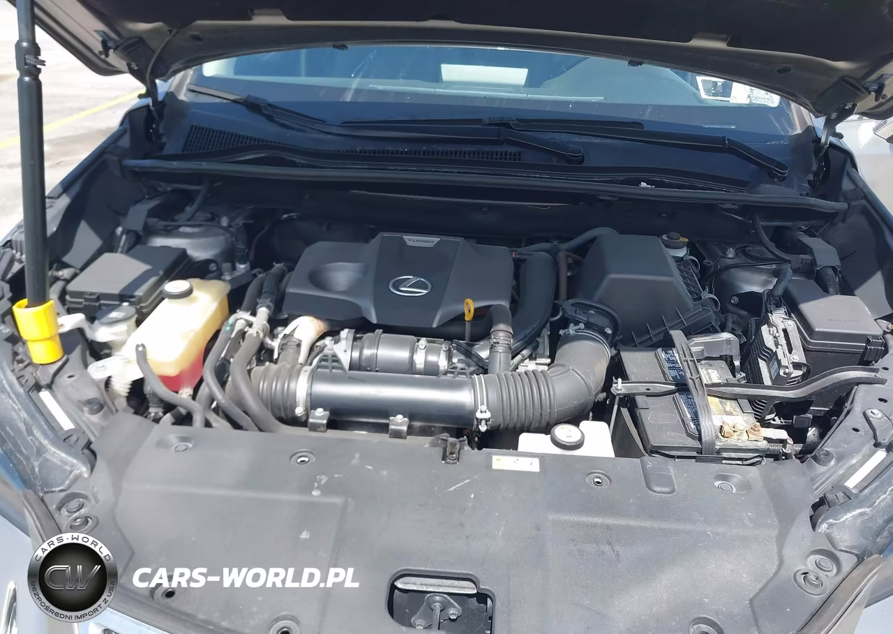 2020 Lexus Nx 300 Base VIN:JTJAARDZ8L5015977 - 10