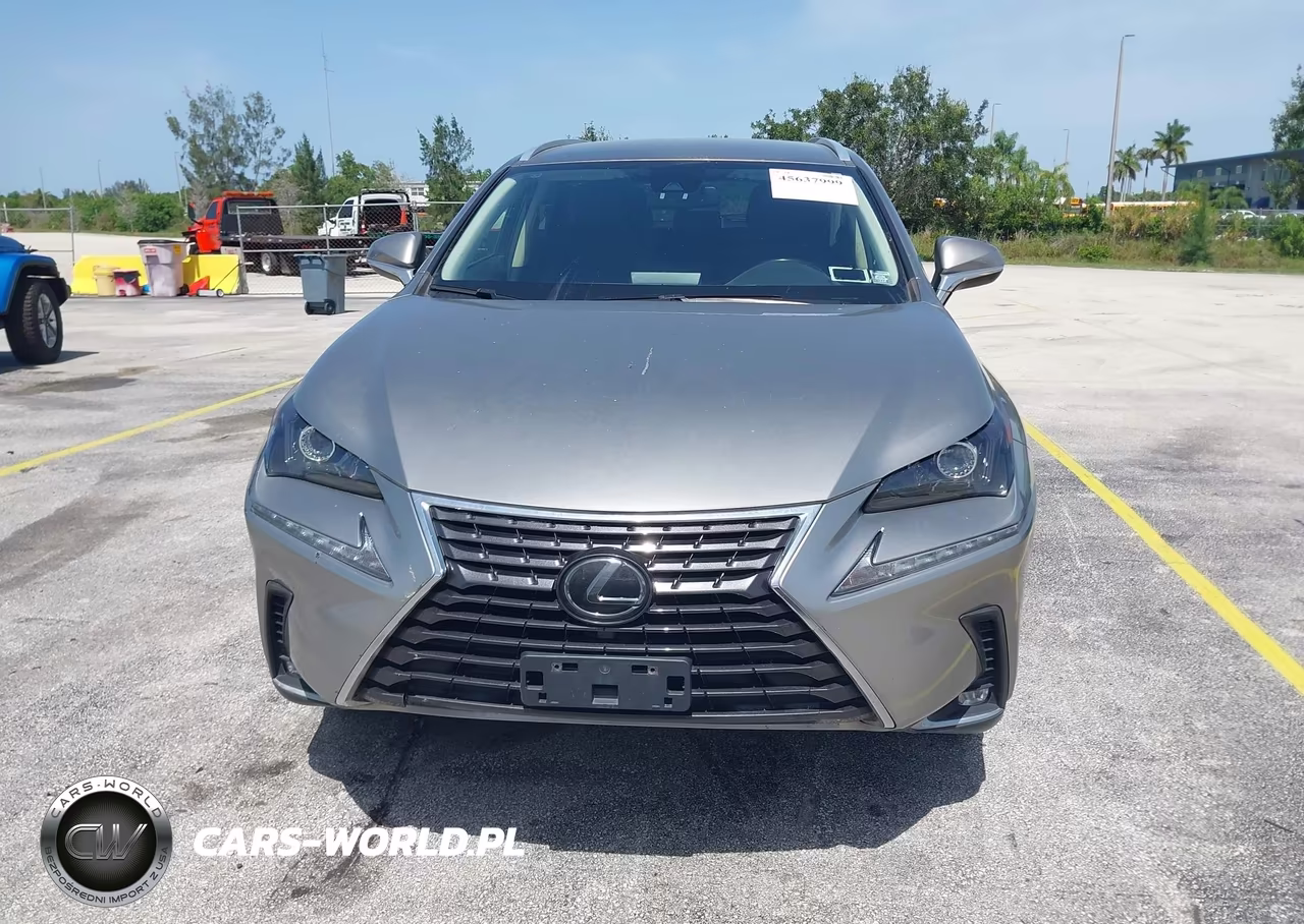 2020 Lexus Nx 300 Base VIN:JTJAARDZ8L5015977 - 12