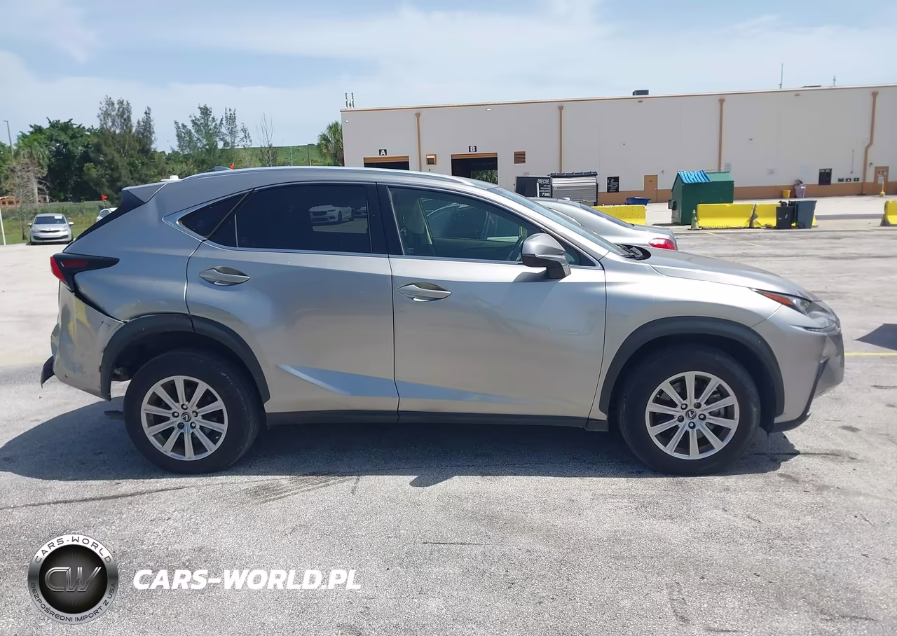 2020 Lexus Nx 300 Base VIN:JTJAARDZ8L5015977 - 13