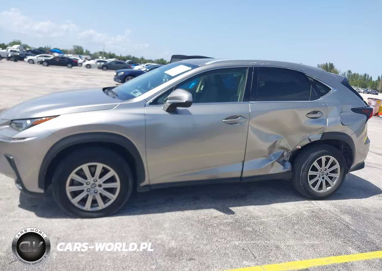 2020 Lexus Nx 300 Base VIN:JTJAARDZ8L5015977 - 14