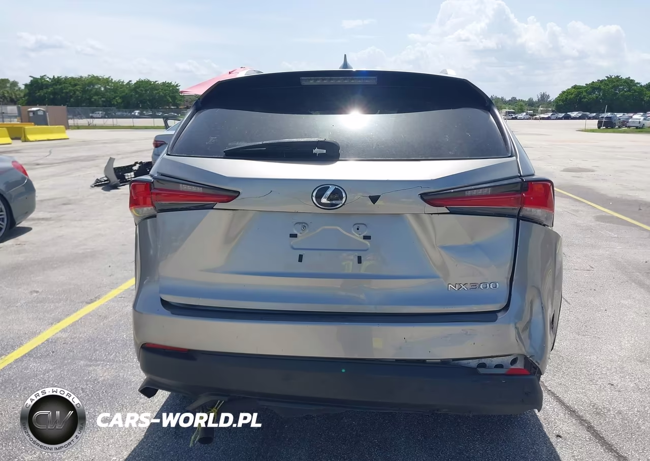2020 Lexus Nx 300 Base VIN:JTJAARDZ8L5015977 - 16