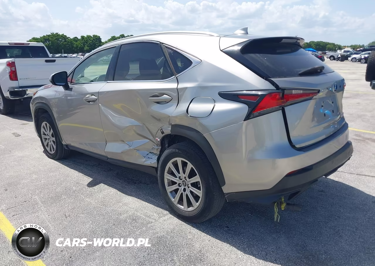 2020 Lexus Nx 300 Base VIN:JTJAARDZ8L5015977 - 3