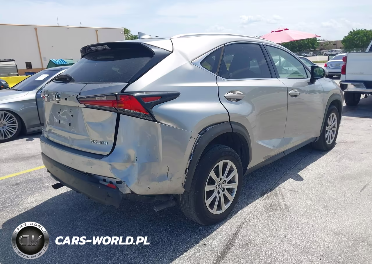 2020 Lexus Nx 300 Base VIN:JTJAARDZ8L5015977 - 4