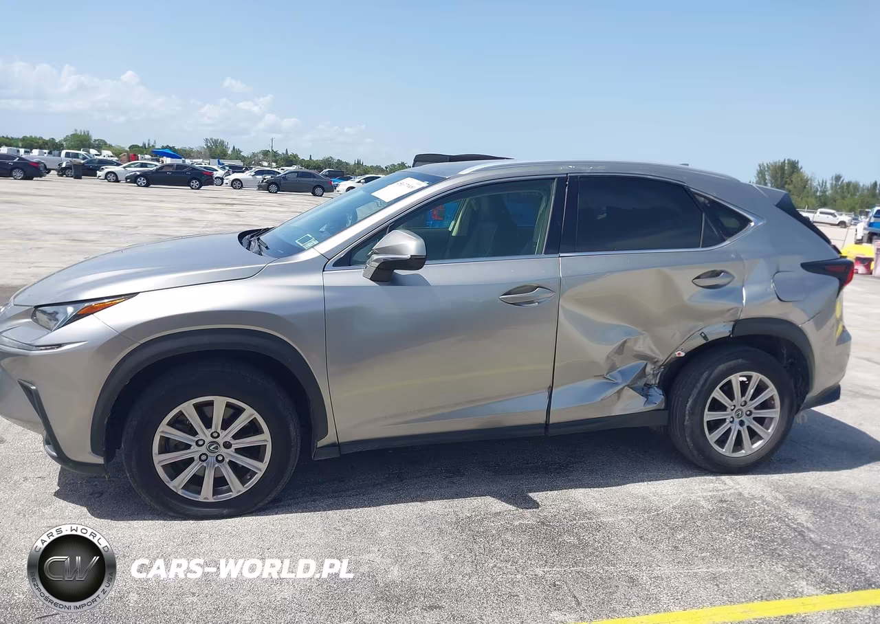 2020 Lexus Nx 300 Base VIN:JTJAARDZ8L5015977 - 6