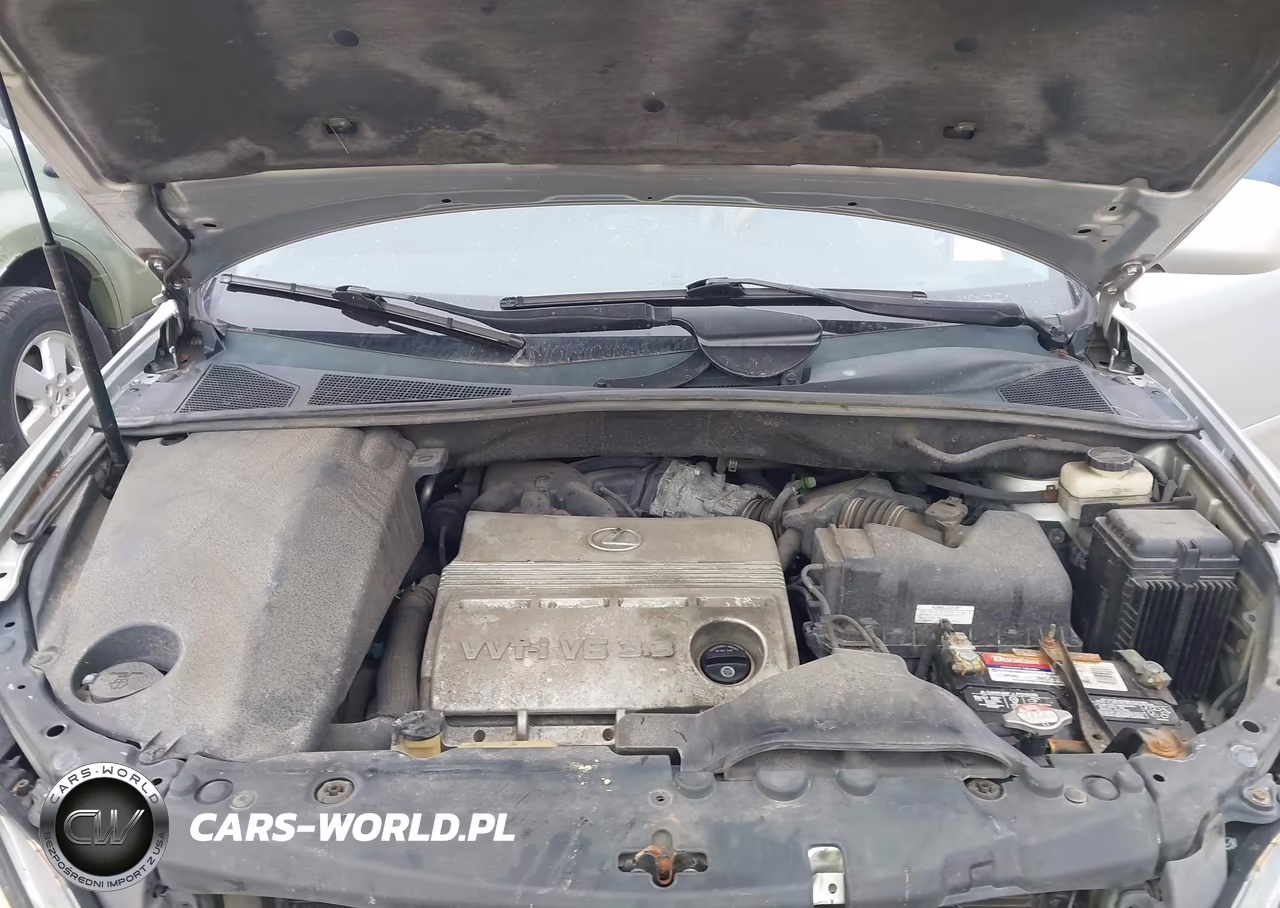 2006 Lexus Rx 330 VIN:2T2HA31U26C104552 - 10