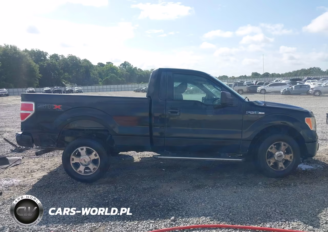 2010 Ford F-150 Stx-Xl-Xl W-Mid-Box Prep-Xlt-Xlt W-Mid-Box Prep VIN:1FTMF1EW2AKA25832 - 12