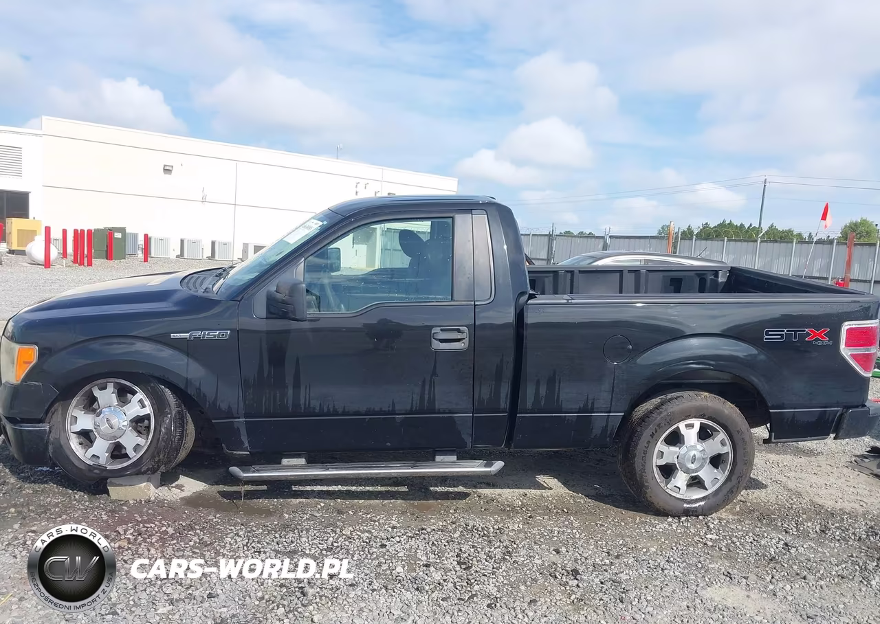 2010 Ford F-150 Stx-Xl-Xl W-Mid-Box Prep-Xlt-Xlt W-Mid-Box Prep VIN:1FTMF1EW2AKA25832 - 13