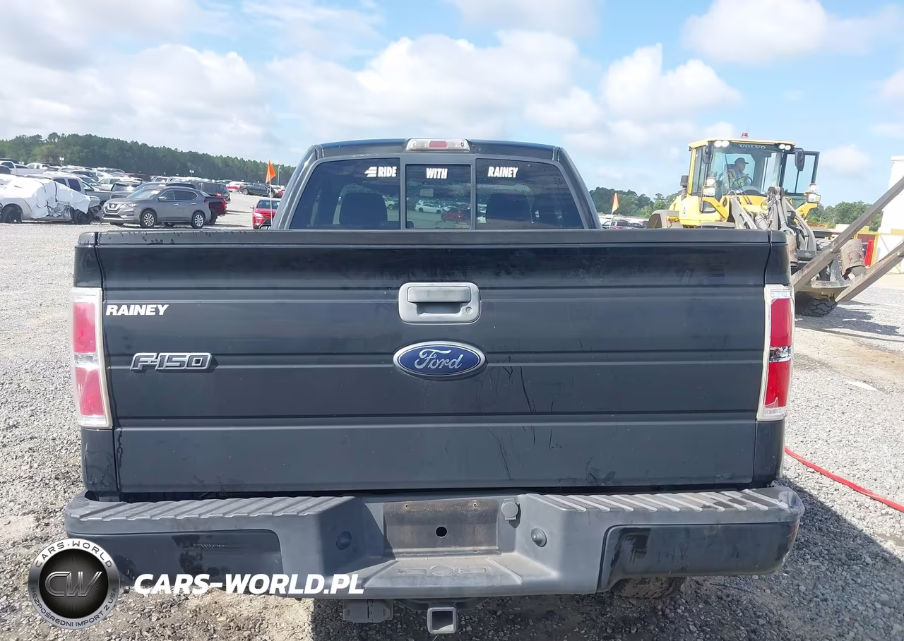 2010 Ford F-150 Stx-Xl-Xl W-Mid-Box Prep-Xlt-Xlt W-Mid-Box Prep VIN:1FTMF1EW2AKA25832 - 15