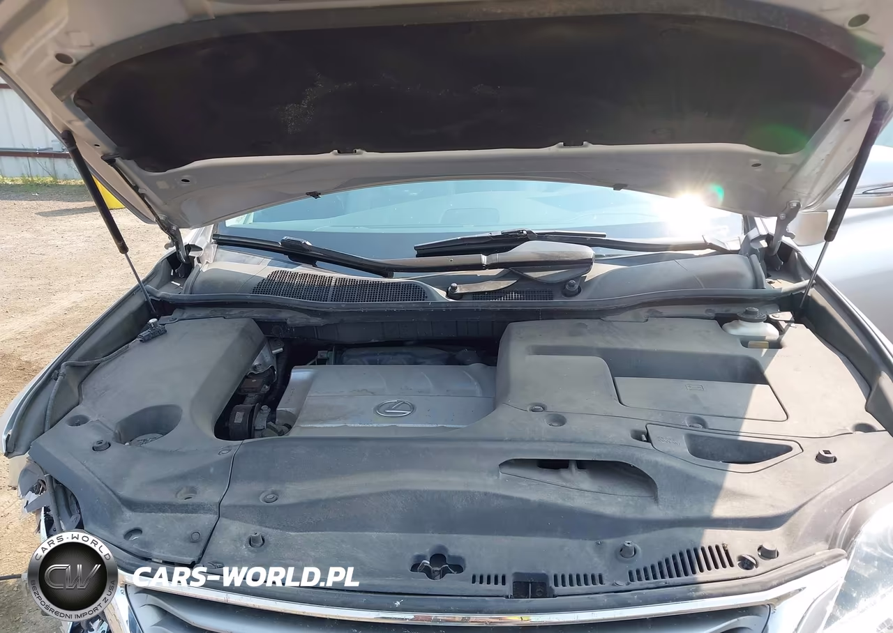 2015 Lexus Rx 350 VIN:2T2BK1BA9FC284933 - 10