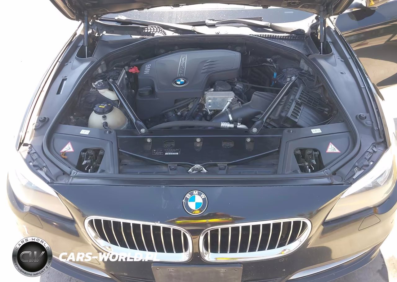2014 BMW 528I VIN:WBA5A5C53ED510377 - 10