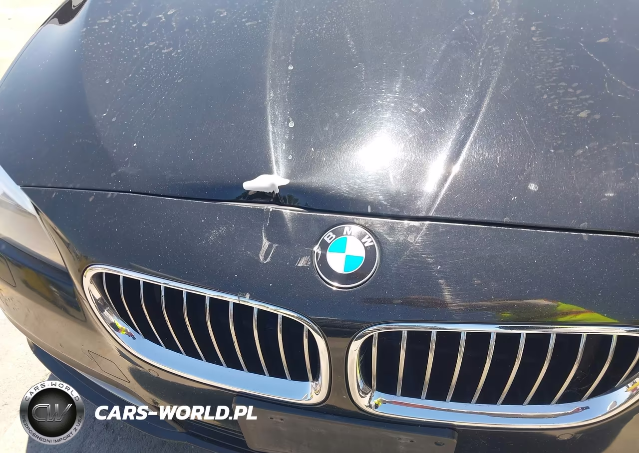 2014 BMW 528I VIN:WBA5A5C53ED510377 - 6