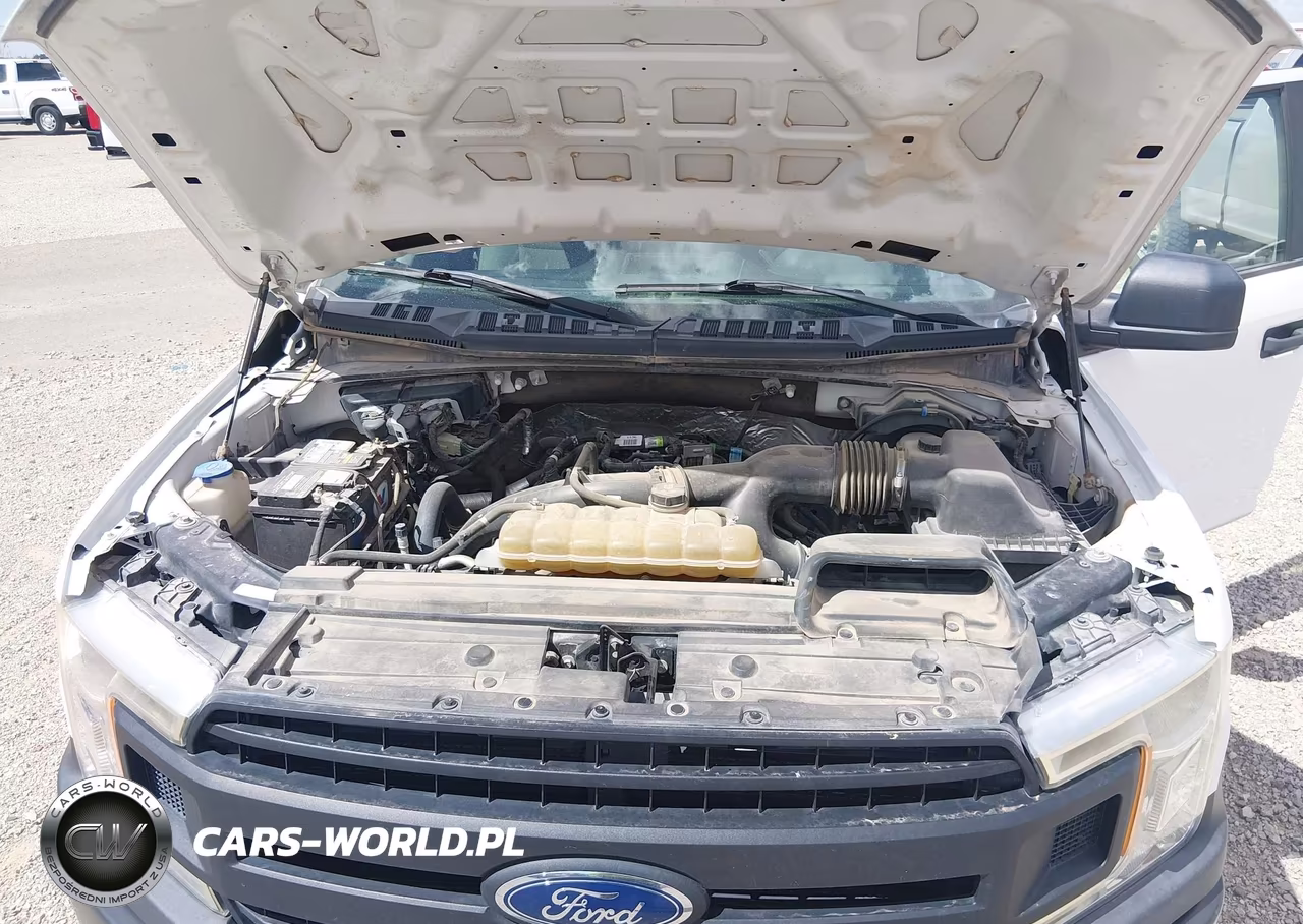 2020 Ford F-150 Xl VIN:1FTEW1EP3LKE81855 - 10