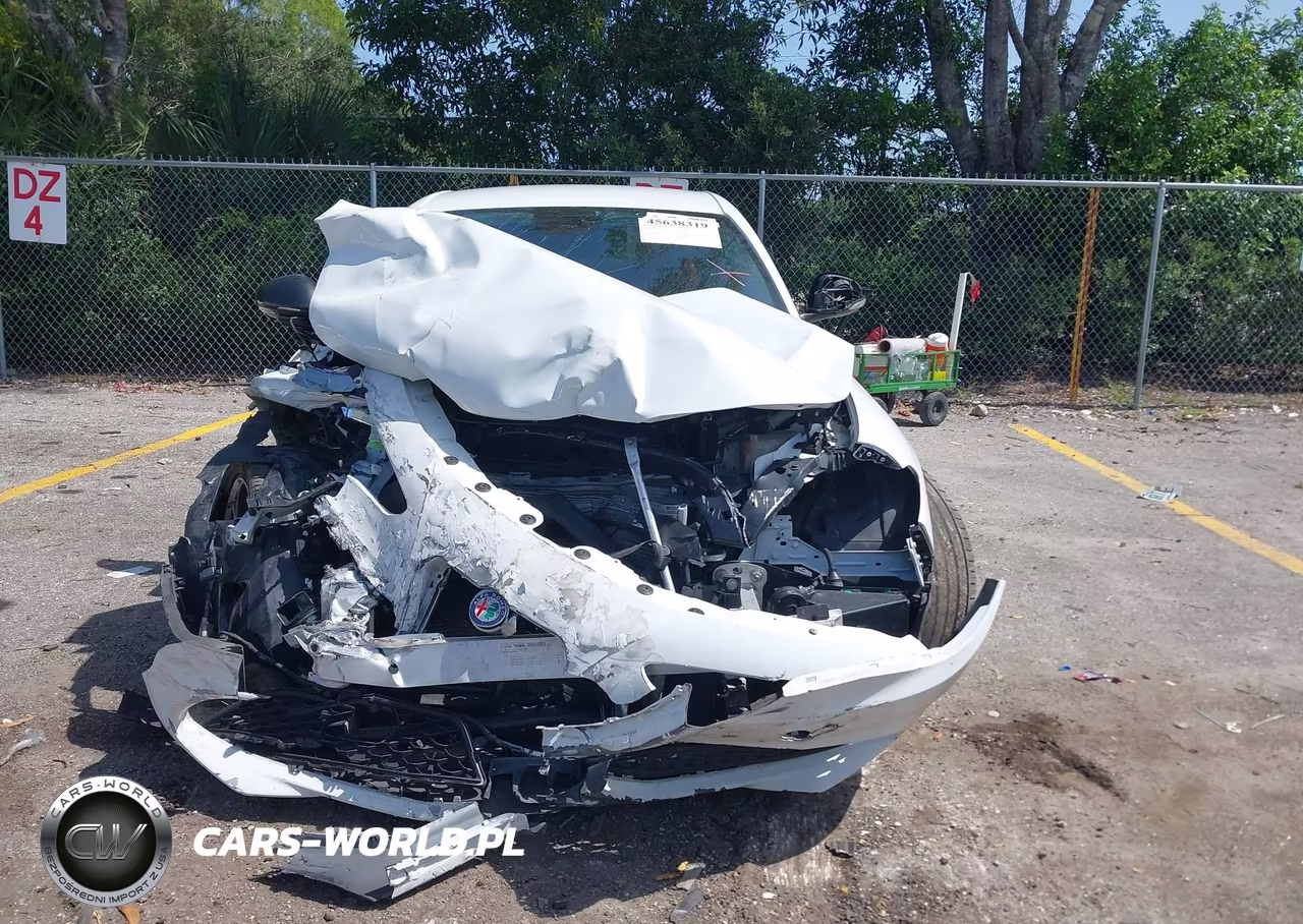 2019 Alfa Romeo Giulia Rwd VIN:ZARFAMAN6K7621574 - 13