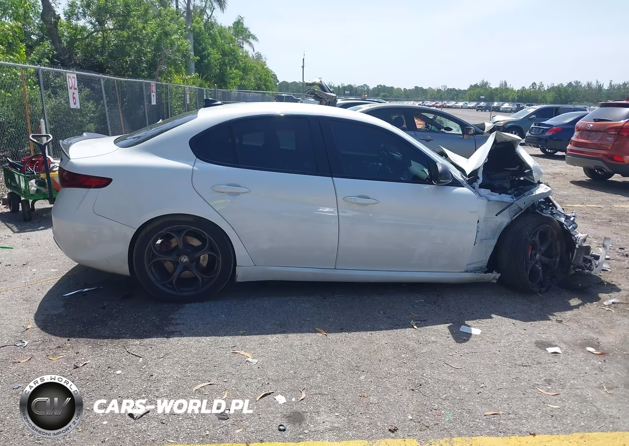 2019 Alfa Romeo Giulia Rwd VIN:ZARFAMAN6K7621574 - 14