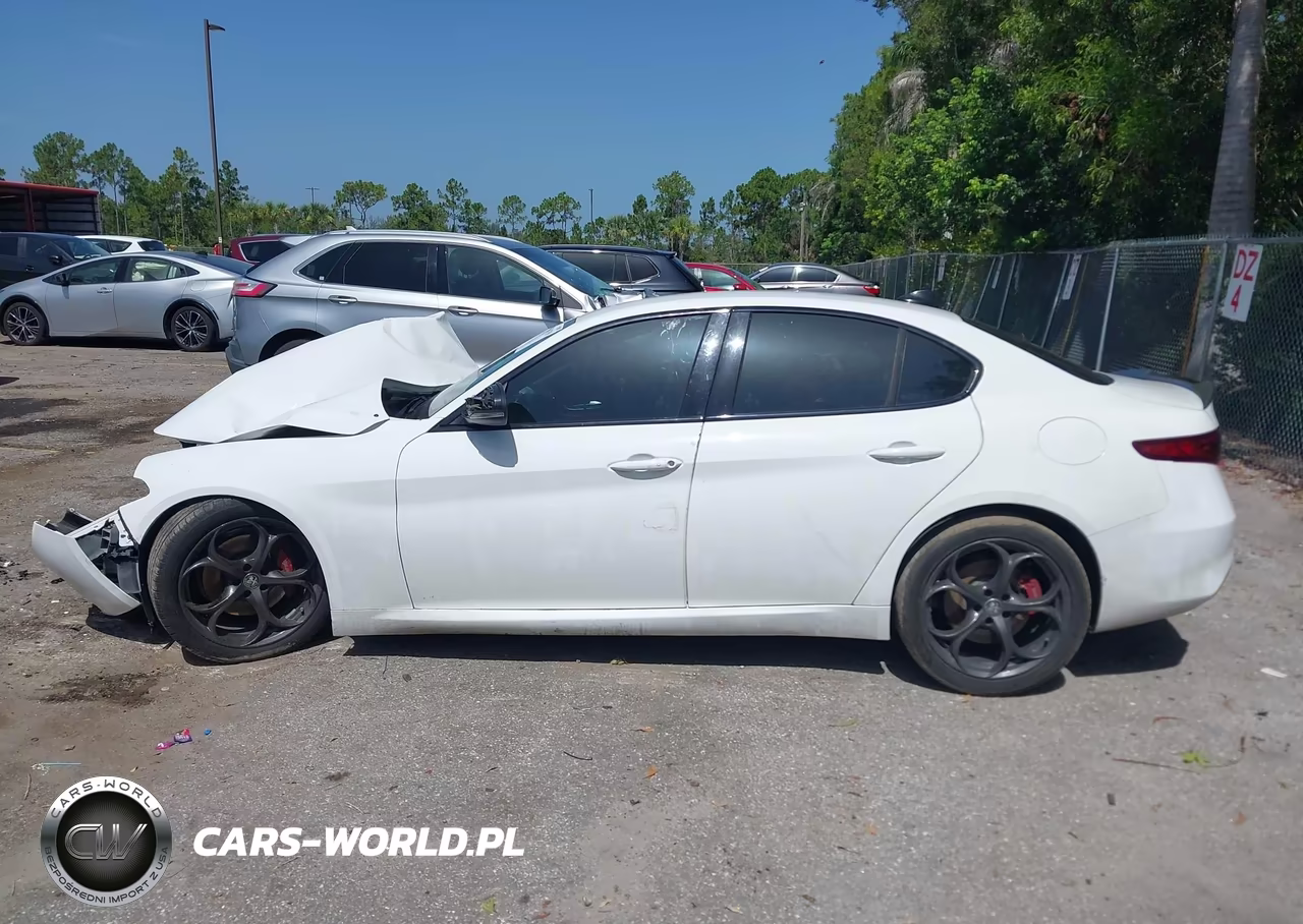 2019 Alfa Romeo Giulia Rwd VIN:ZARFAMAN6K7621574 - 15
