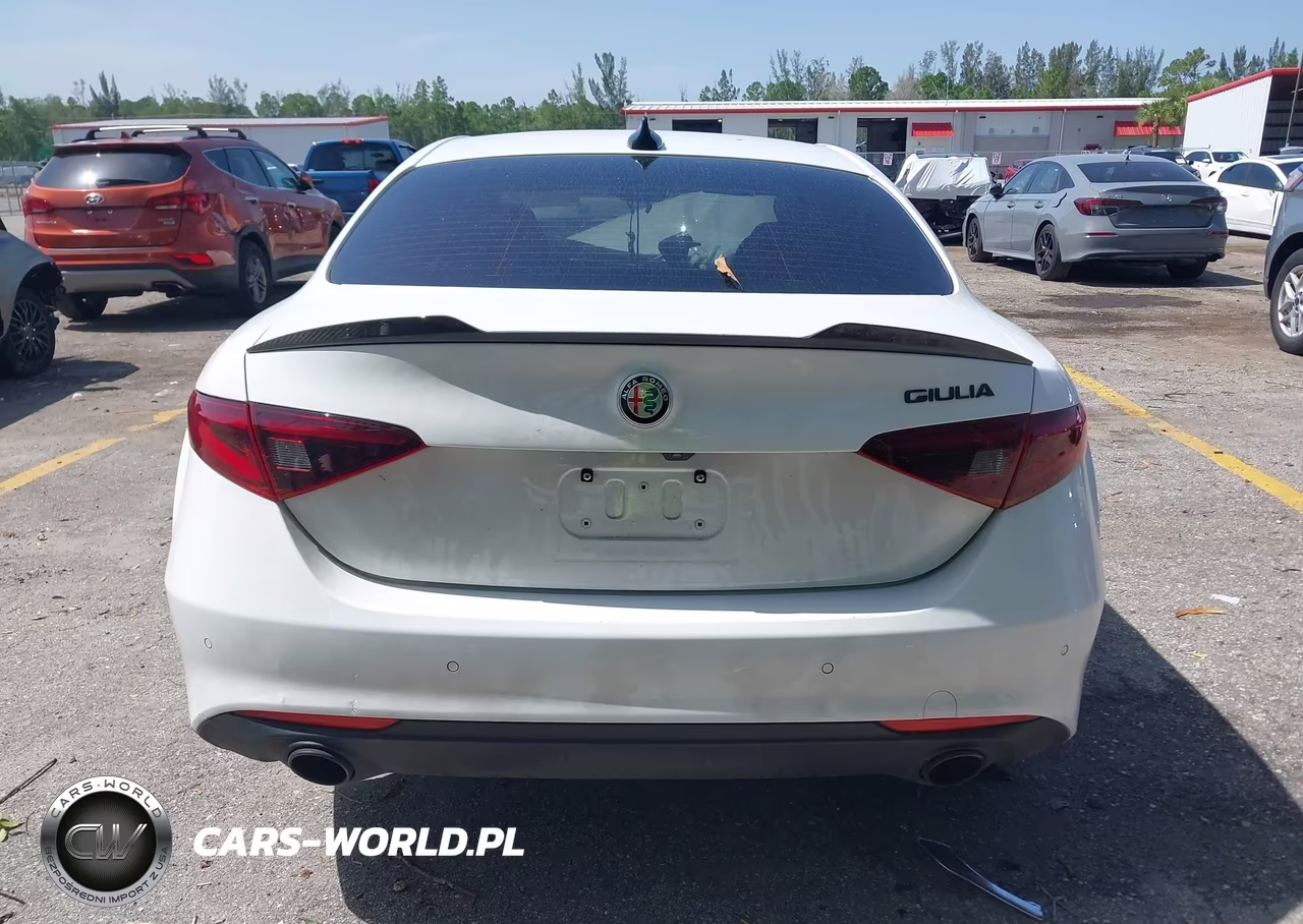2019 Alfa Romeo Giulia Rwd VIN:ZARFAMAN6K7621574 - 17