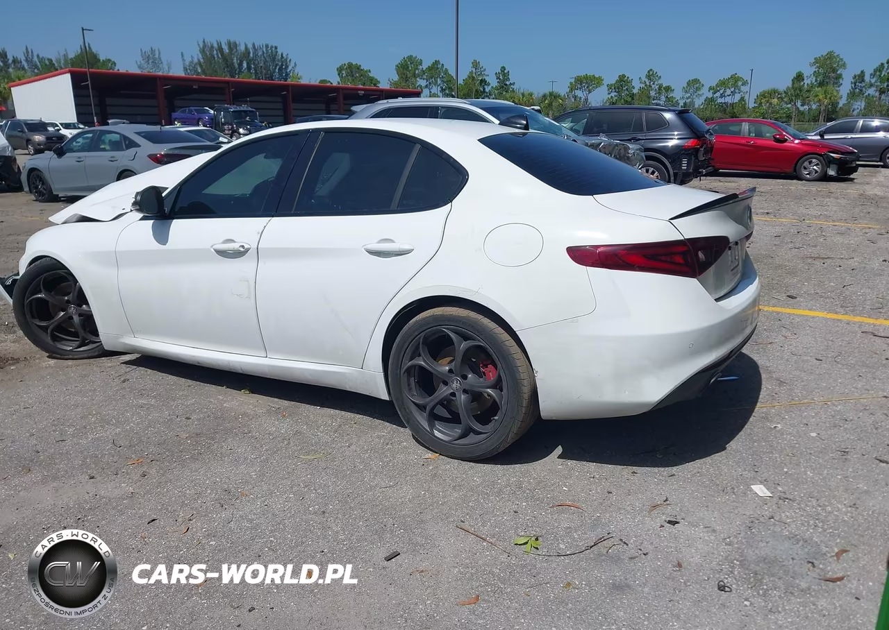 2019 Alfa Romeo Giulia Rwd VIN:ZARFAMAN6K7621574 - 3