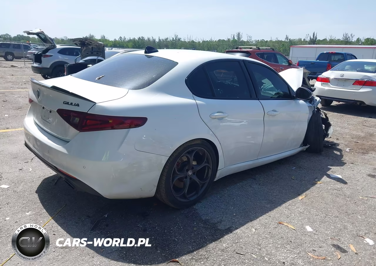 2019 Alfa Romeo Giulia Rwd VIN:ZARFAMAN6K7621574 - 4