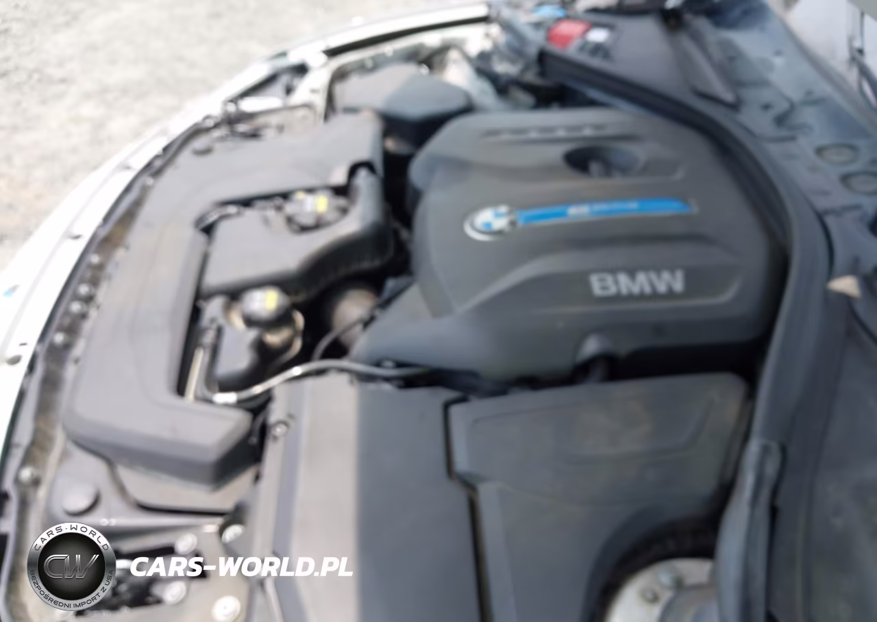 2018 BMW 330E Iperformance VIN:WBA8E1C59JA171520 - 10