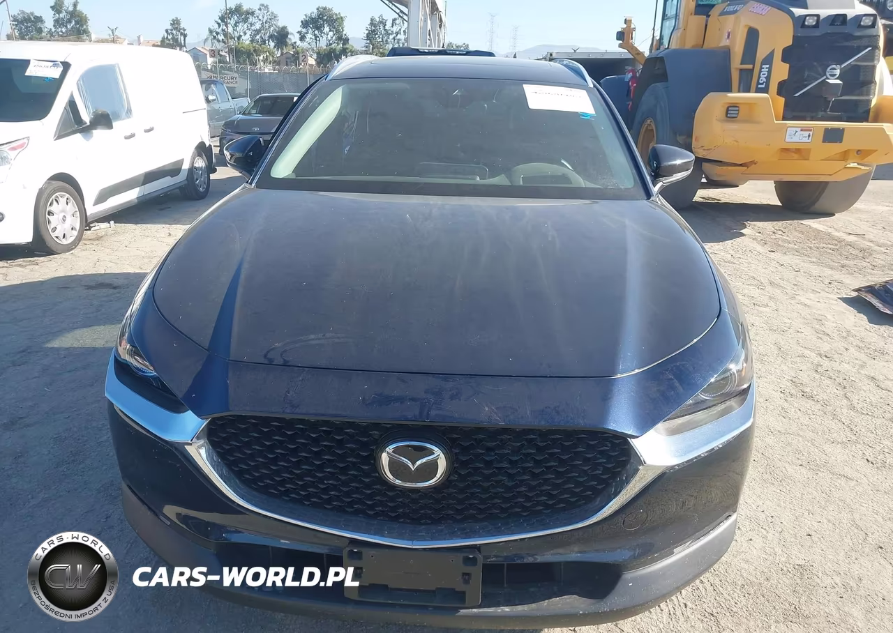 2022 Mazda Cx-30 2.5 Turbo Premium VIN:3MVDMBDY2NM405877 - 13